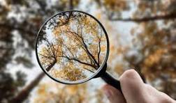 Magnifying glass revealing clarity in a blurred image—visual metaphor for how to find clarity and live with intention